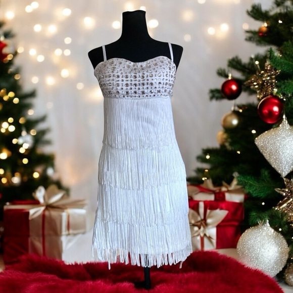 AIDA White Flapper Dress Rhinestones & Fringe Size Medium NWT - Picture 3 of 13